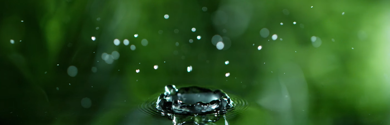 121212121212-eryuebk.cn